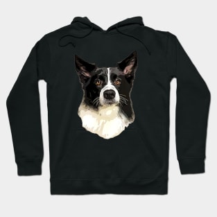 Border Collie Cuteness! Hoodie